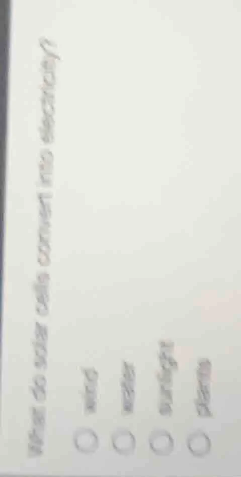 what do solar cells convert into electricity? wind water sunlight burni…