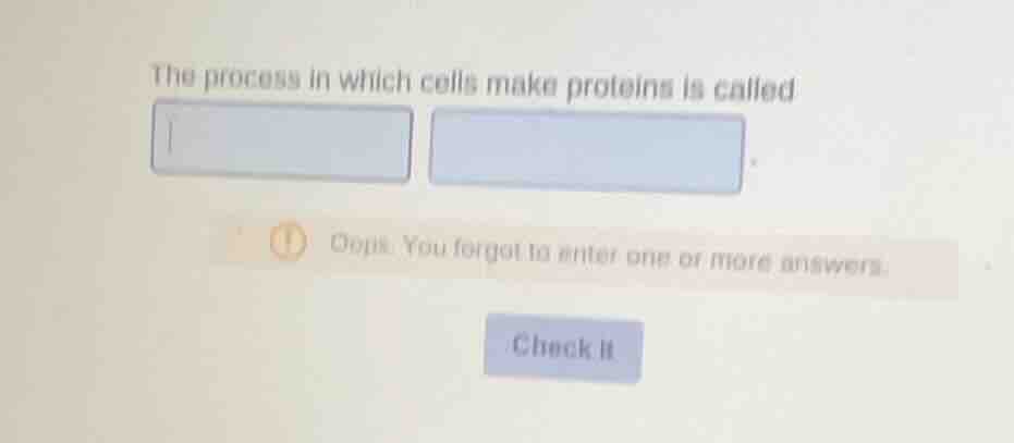 the process in which cells make proteins is called
