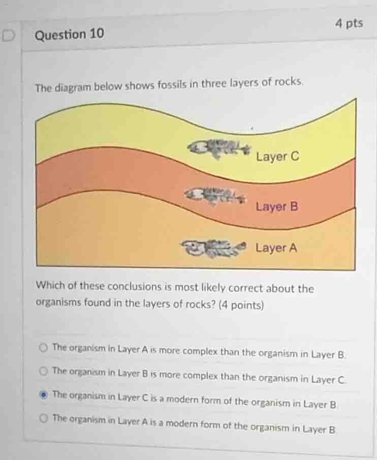 question 10 4 pts the diagram below shows fossils in three layers of ro…