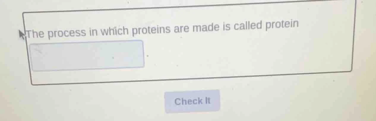 the process in which proteins are made is called protein