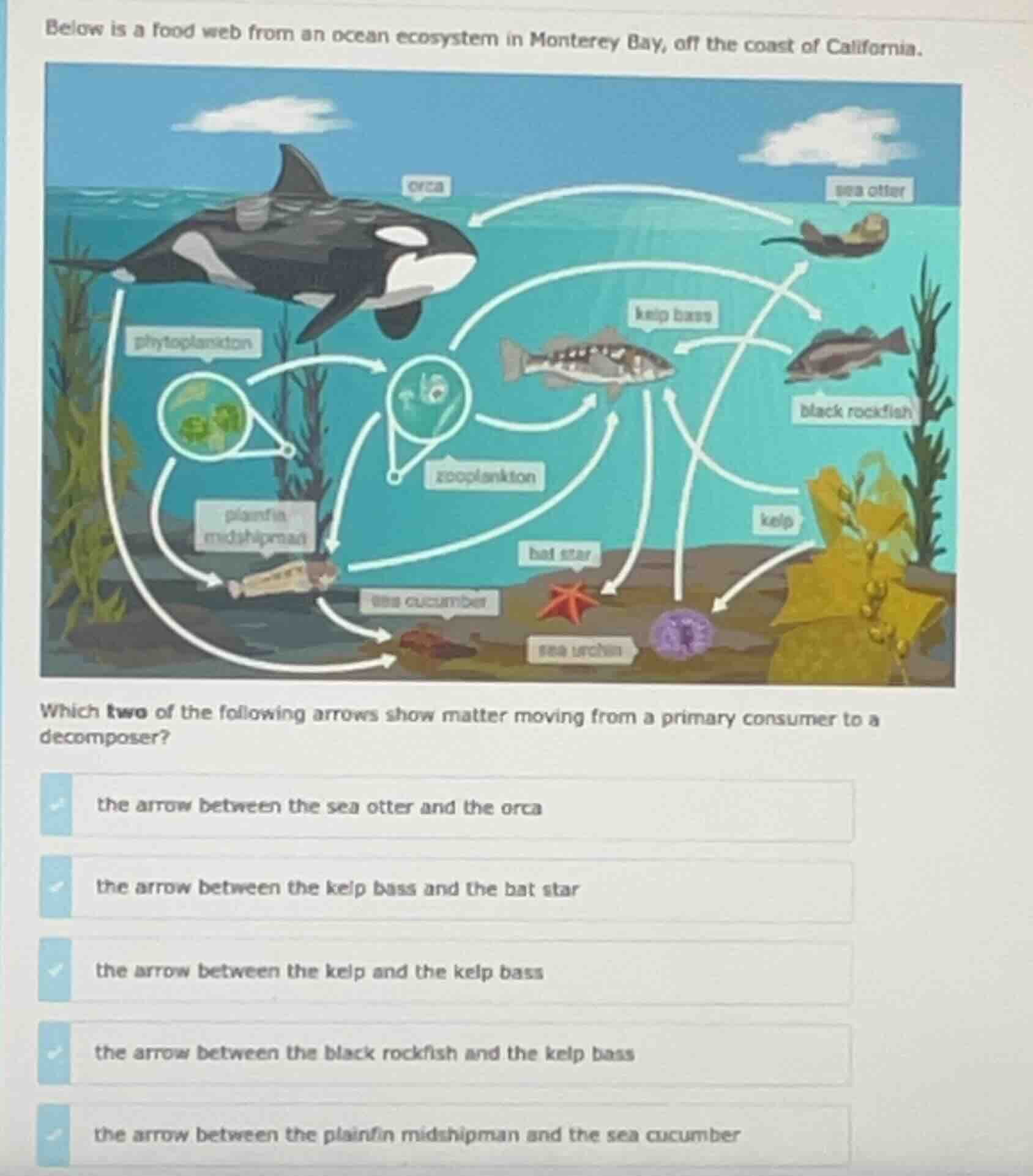 below is a food web from an ocean ecosystem in monterey bay, off the co…