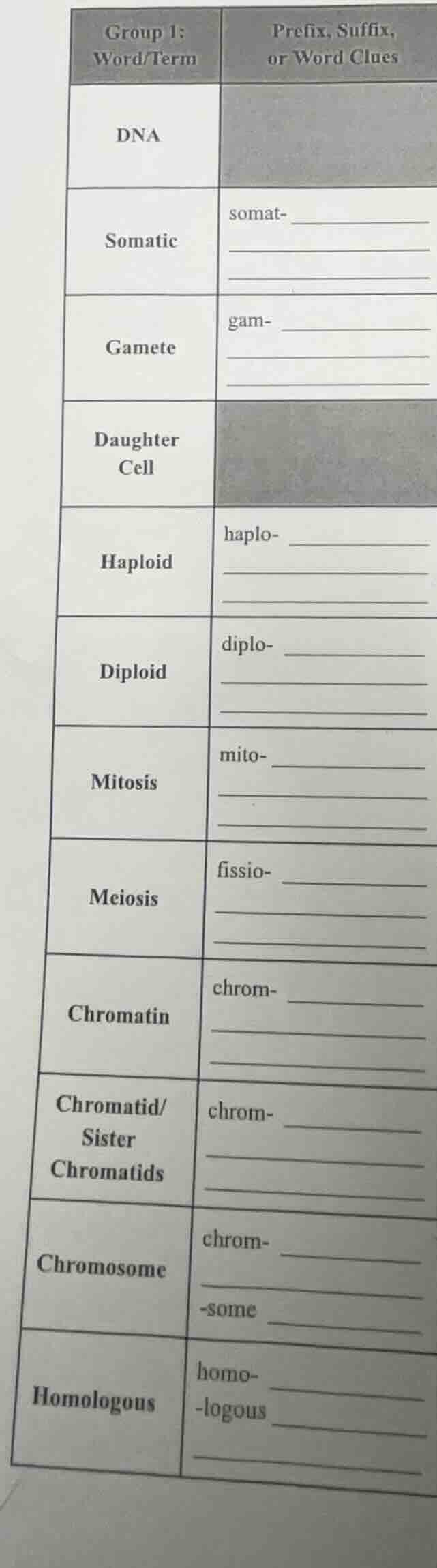 group 1: word/term | prefix, suffix, or word clues dna | somatic | soma…