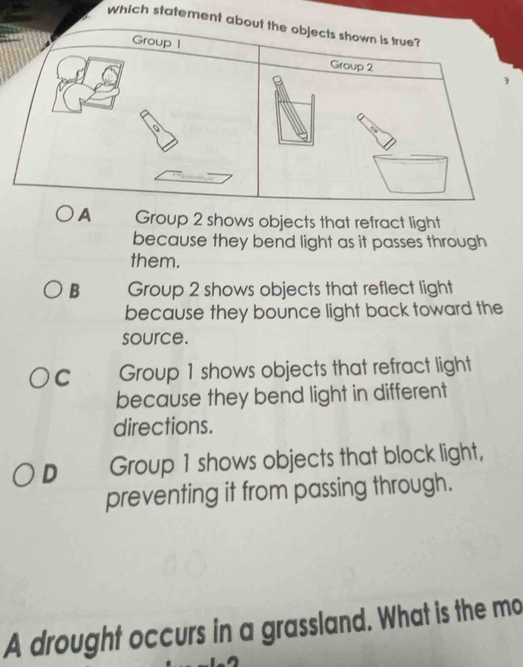 which statement about the objects shown is true? group 1 group 2 a grou…