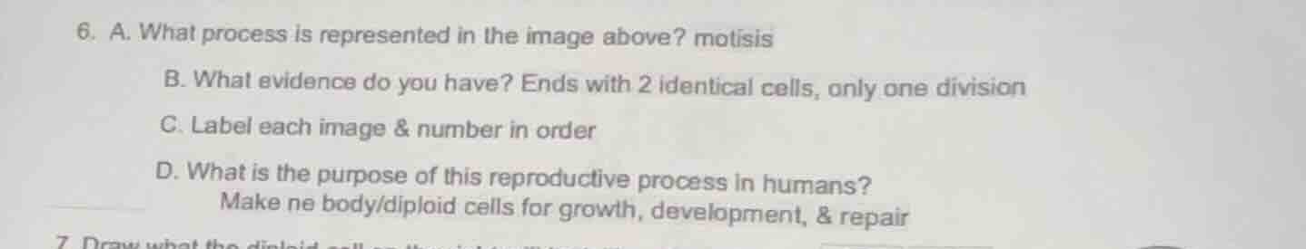 6. a. what process is represented in the image above? motisis b. what e…