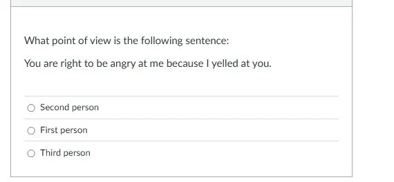 what point of view is the following sentence:you are right to be angry …