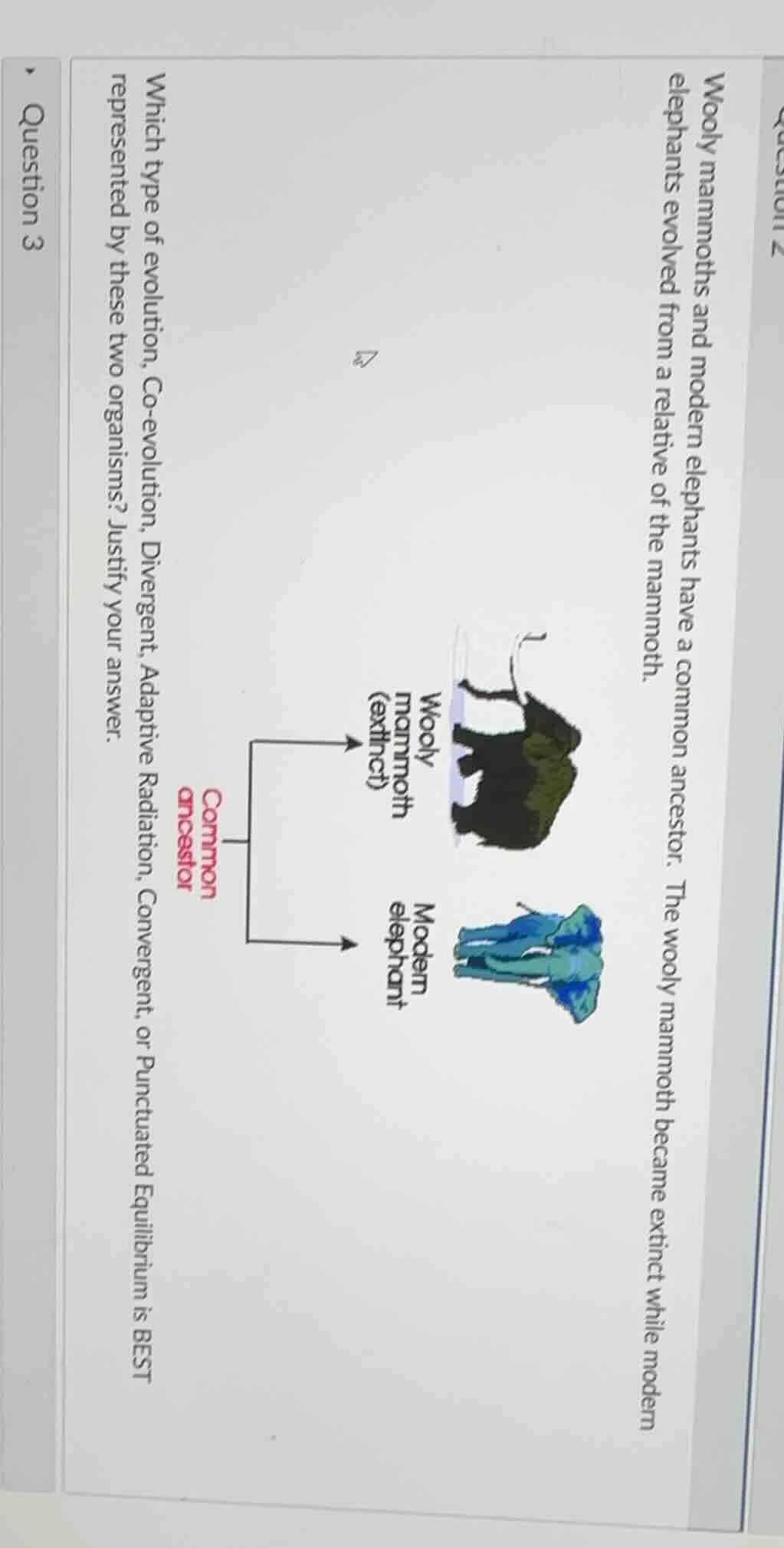 wooly mammoths and modern elephants have a common ancestor. the wooly m…