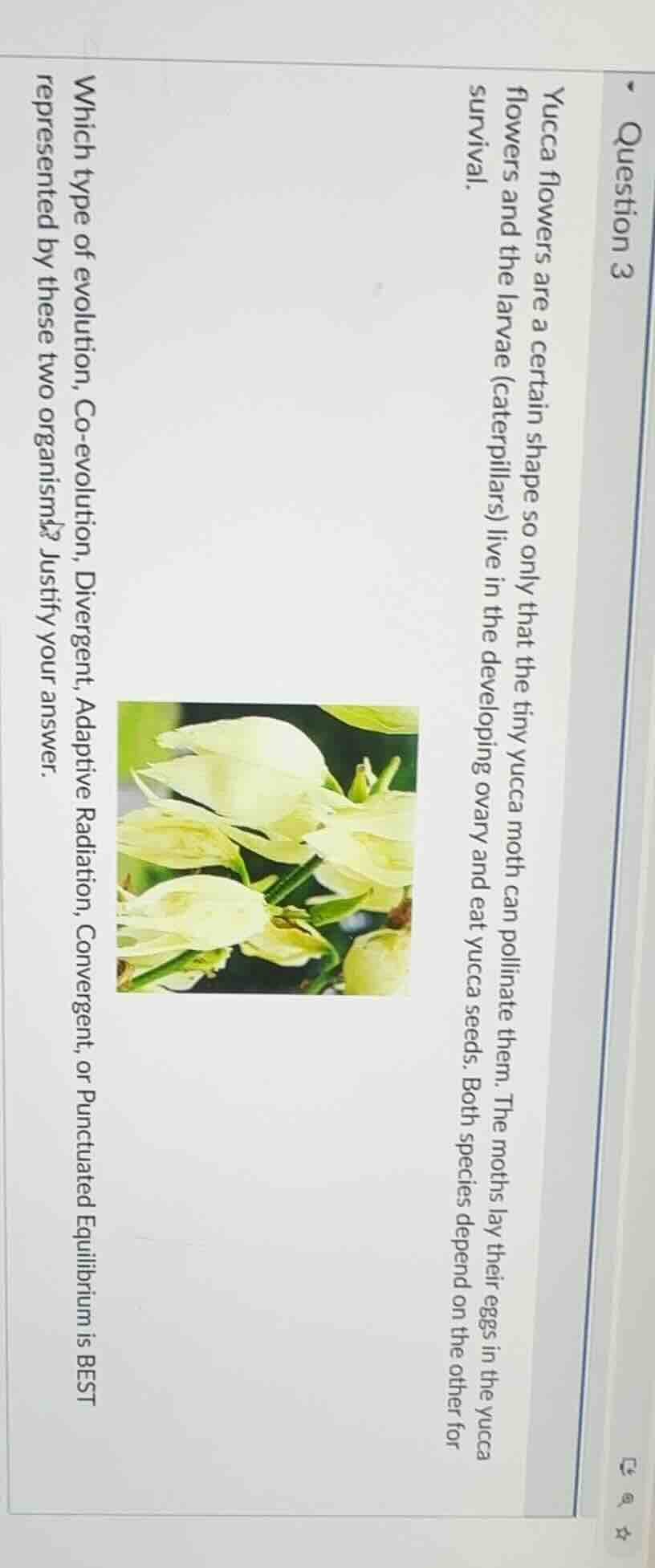 question 3 yucca flowers are a certain shape so only the tiny yucca mot…