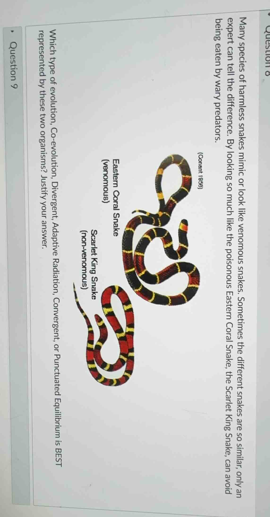 many species of harmless snakes mimic or look like venomous snakes. som…