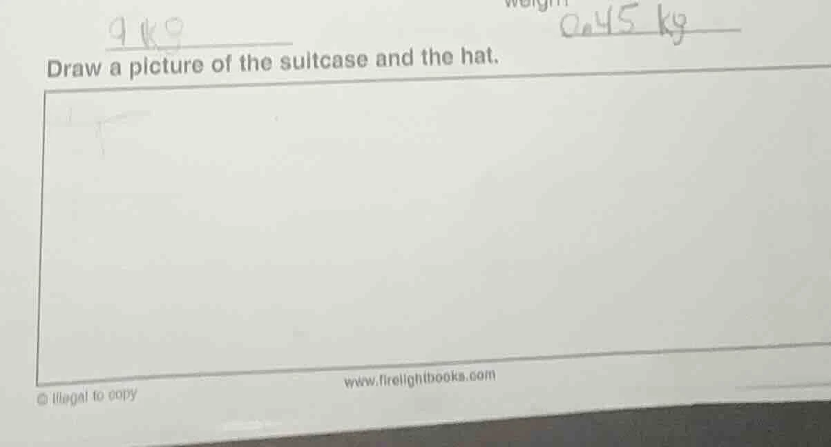 draw a picture of the suitcase and the hat.