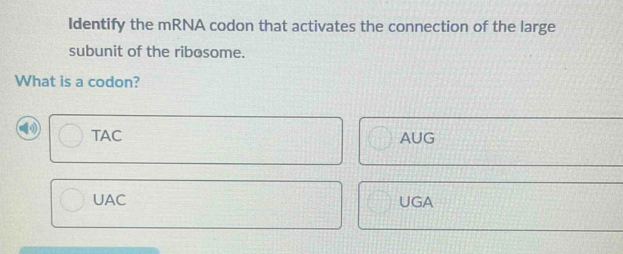 identify the mrna codon that activates the connection of the large subu…