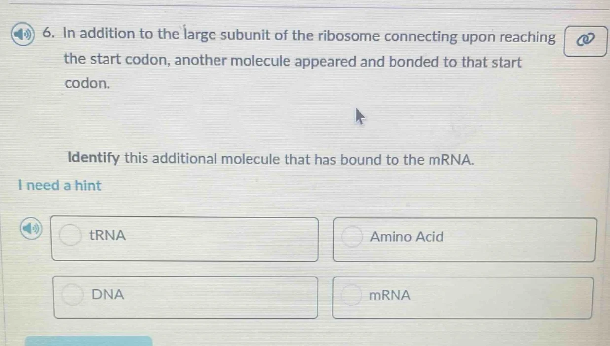 6. in addition to the large subunit of the ribosome connecting upon rea…