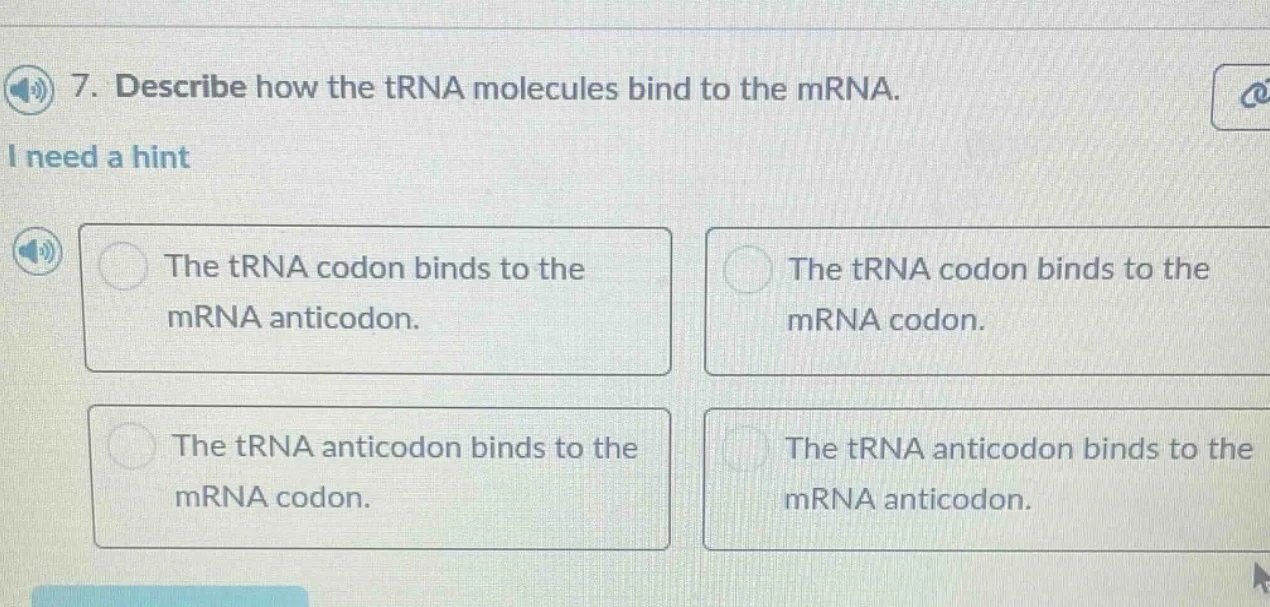 7. describe how the trna molecules bind to the mrna. i need a hint the …