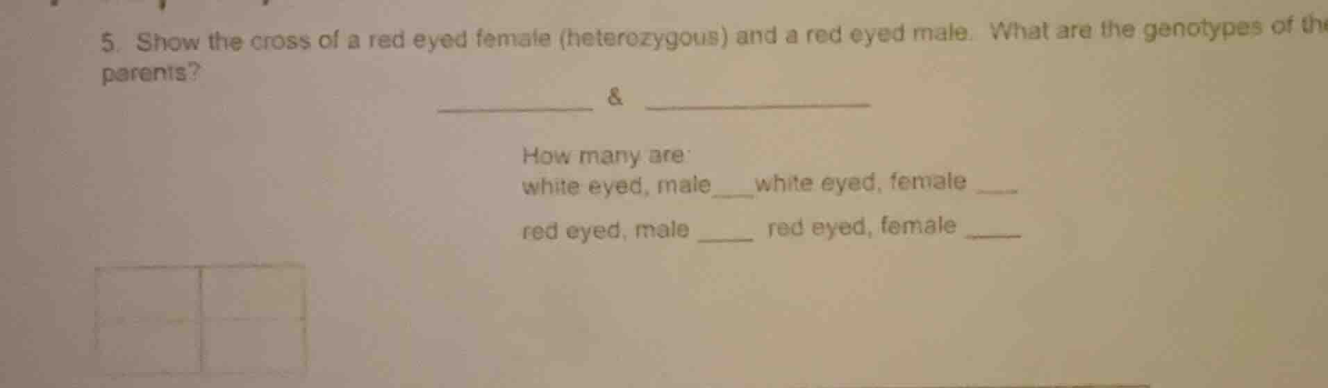5. show the cross of a red eyed female (heterozygous) and a red eyed ma…