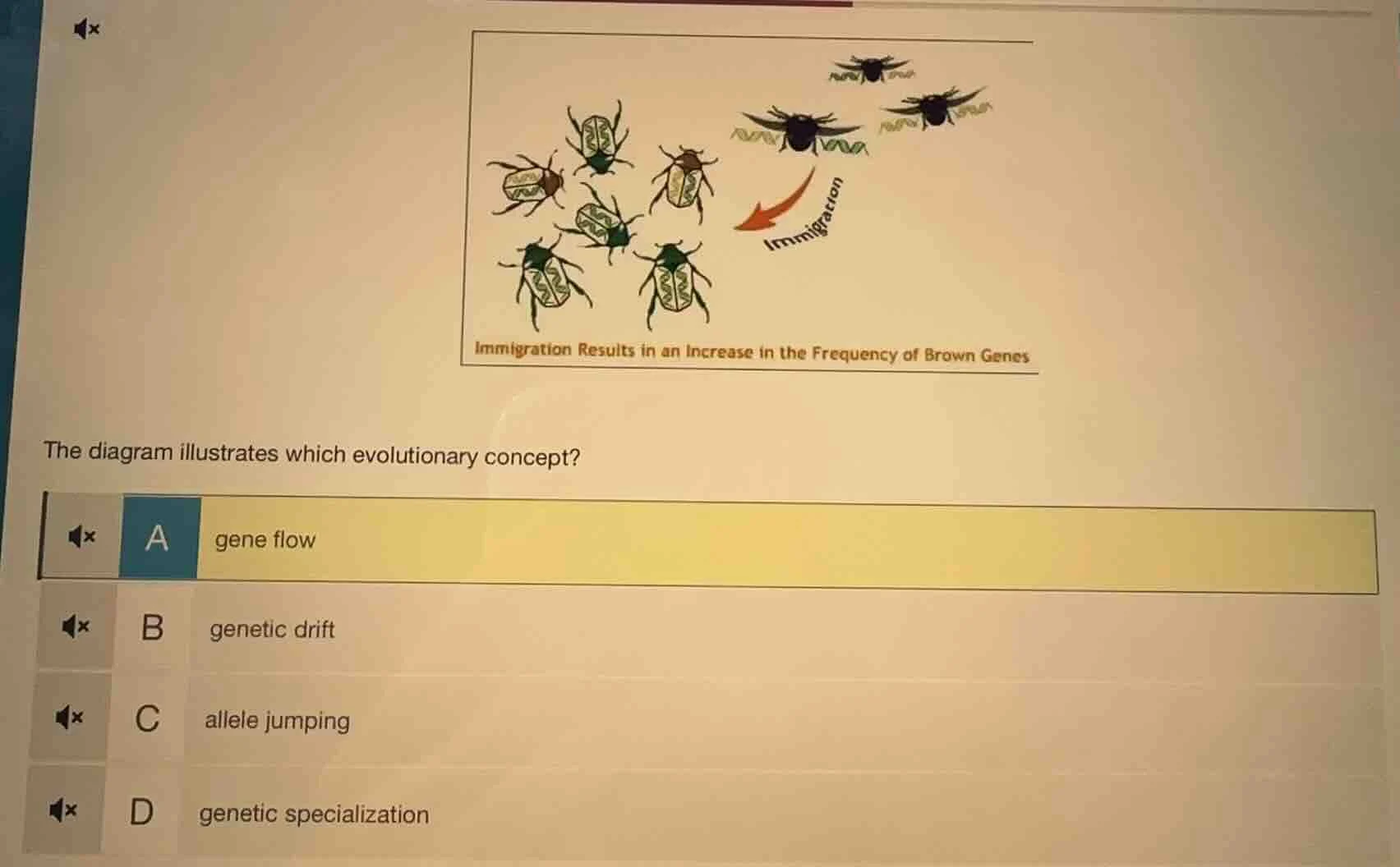 the diagram illustrates which evolutionary concept? a gene flow b genet…