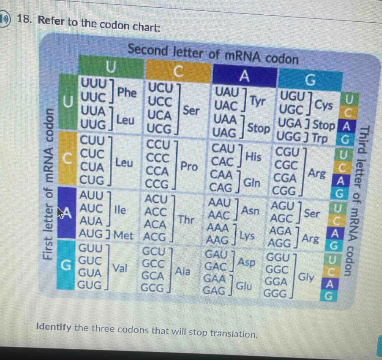 18. refer to the codon chart: identify the three codons that will stop …