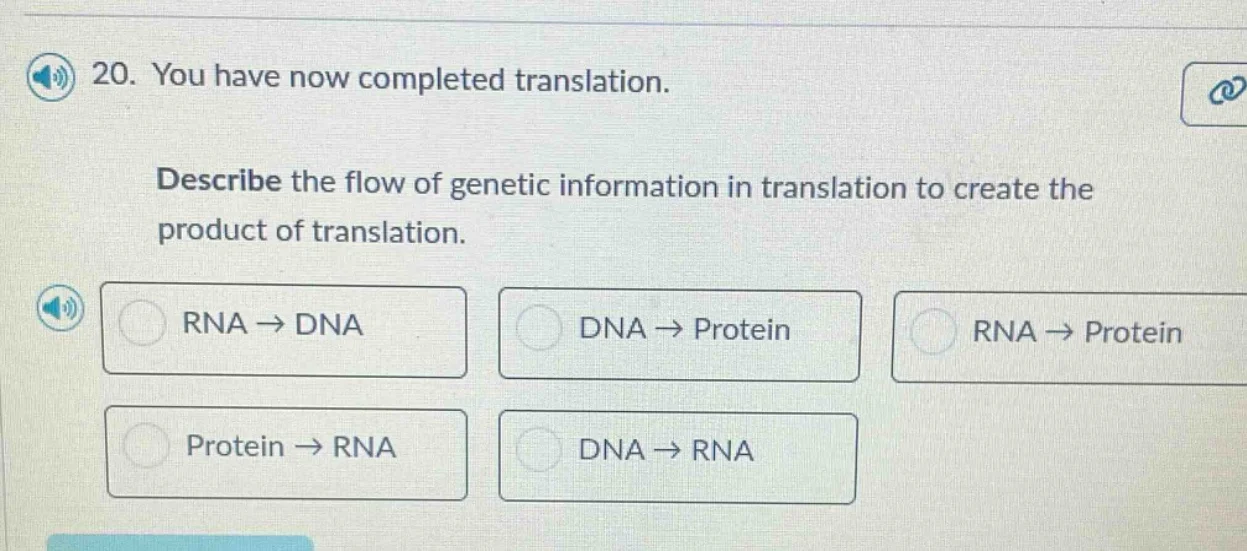 20. you have now completed translation. describe the flow of genetic in…