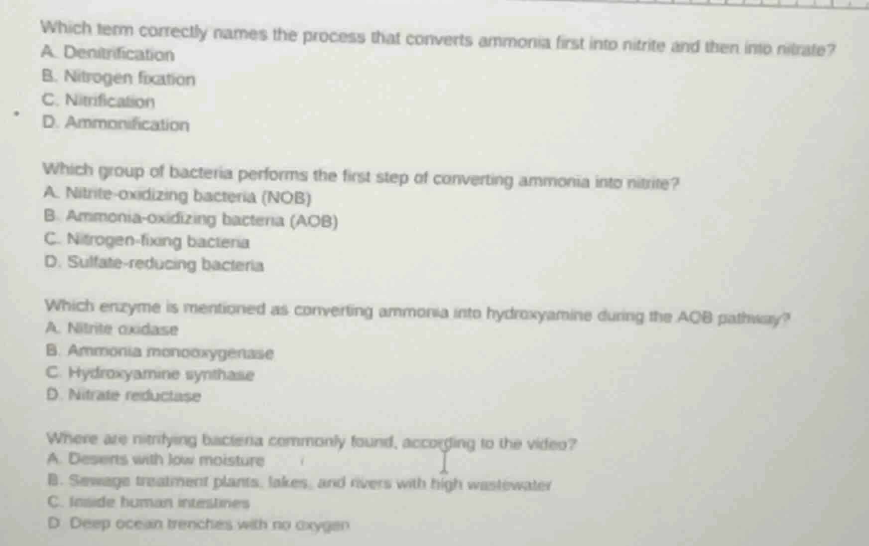 which term correctly names the process that converts ammonia first into…