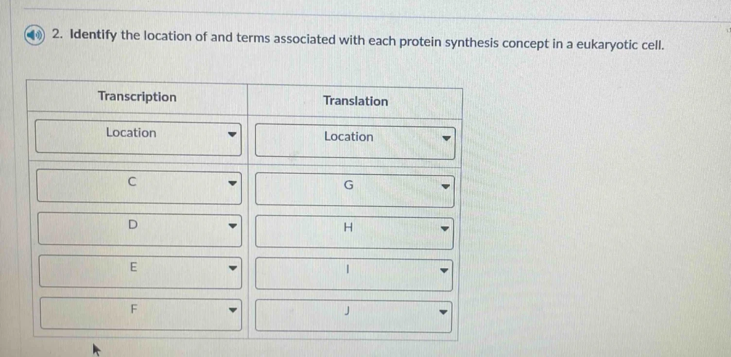 2. identify the location of and terms associated with each protein synt…