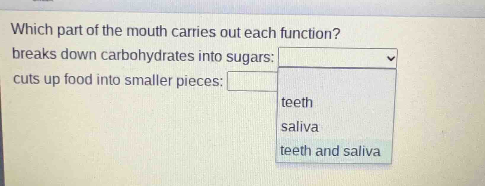 which part of the mouth carries out each function? breaks down carbohyd…