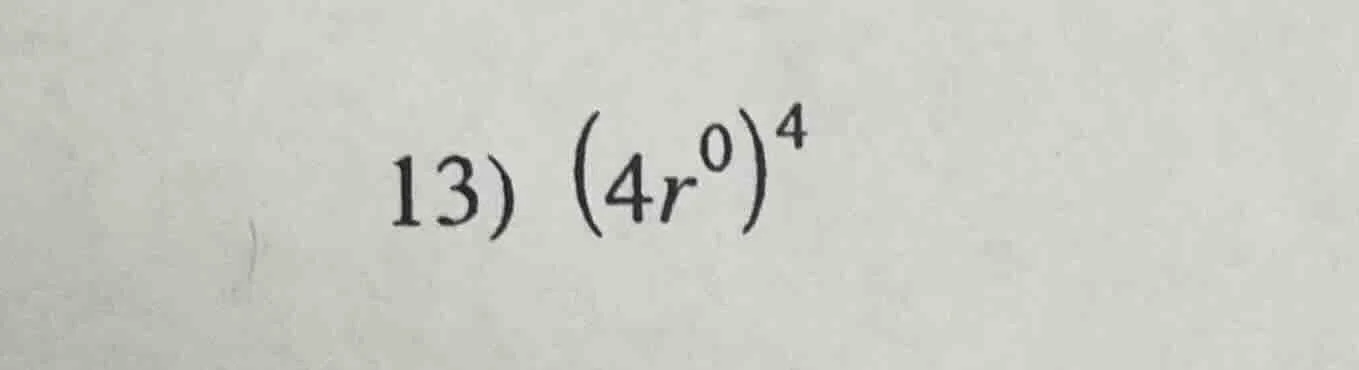 13) \\((4r^{0})^{4}\\)