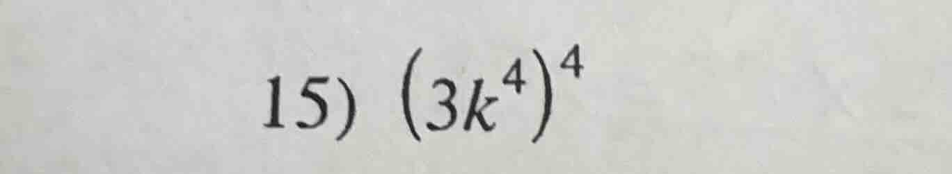 15) $(3k^4)^4$