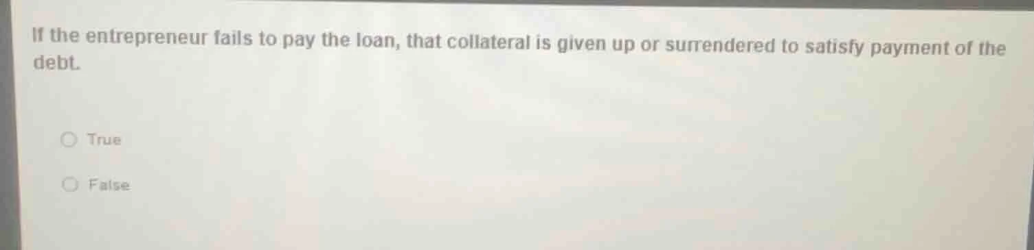 if the entrepreneur fails to pay the loan, that collateral is given up …