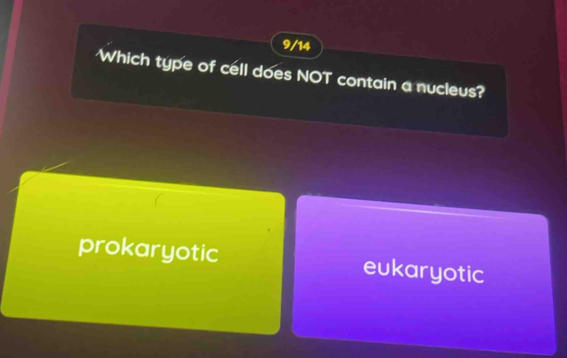 which type of cell does not contain a nucleus? prokaryotic eukaryotic