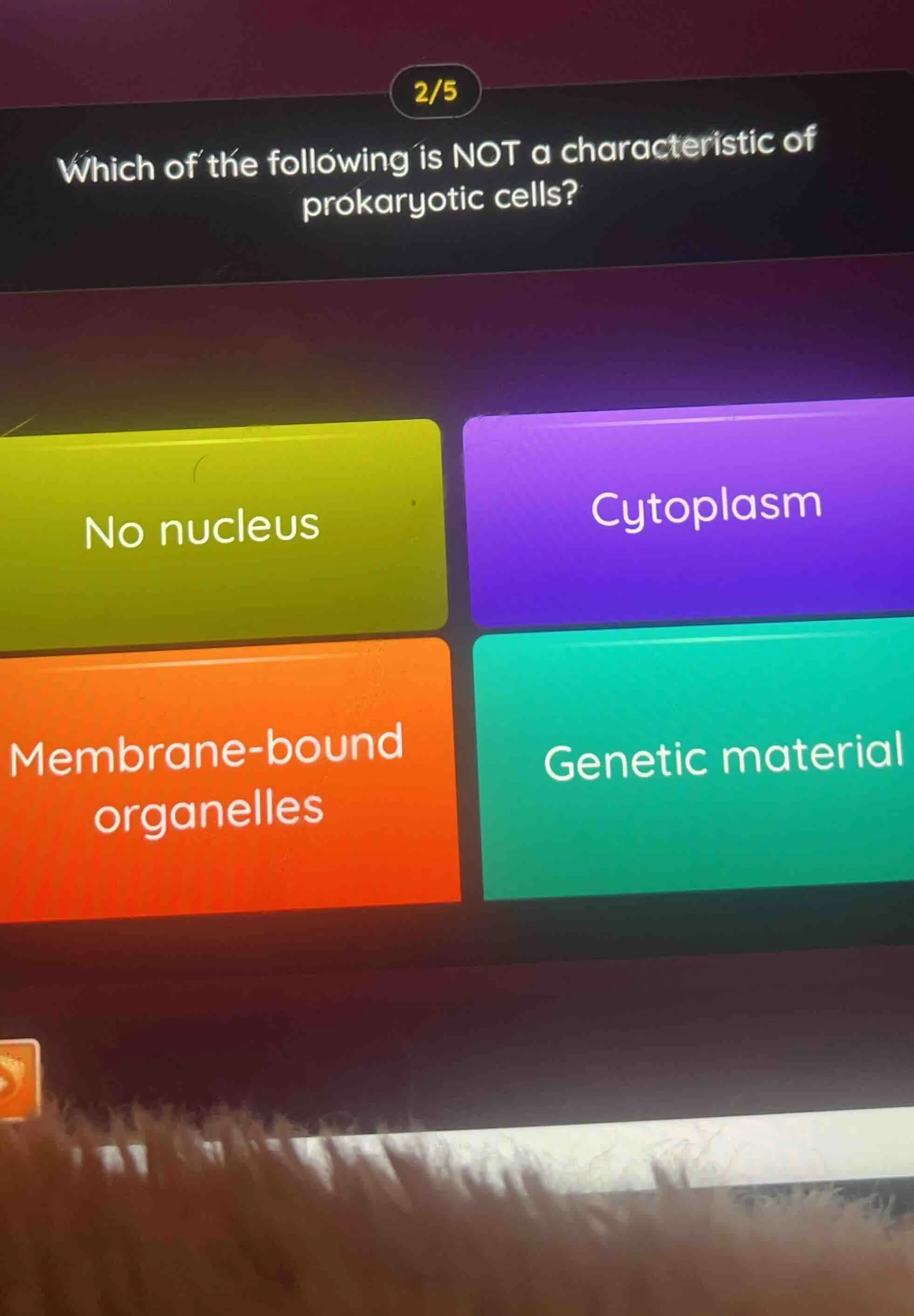 which of the following is not a characteristic of prokaryotic cells? no…