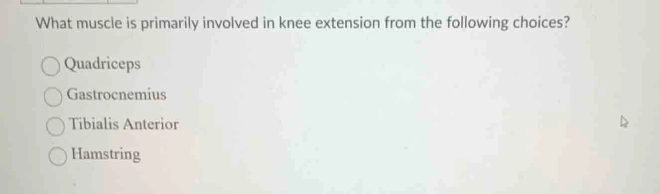 what muscle is primarily involved in knee extension from the following …