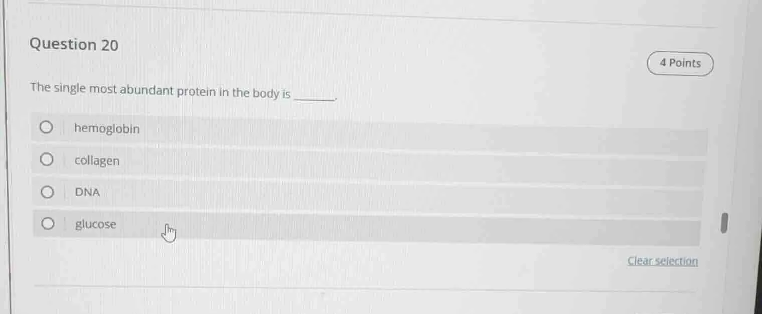 question 20 4 points the single most abundant protein in the body is __…