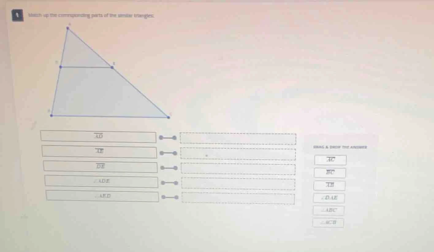 1 match up the corresponding parts of the similar triangles: drag & dro…