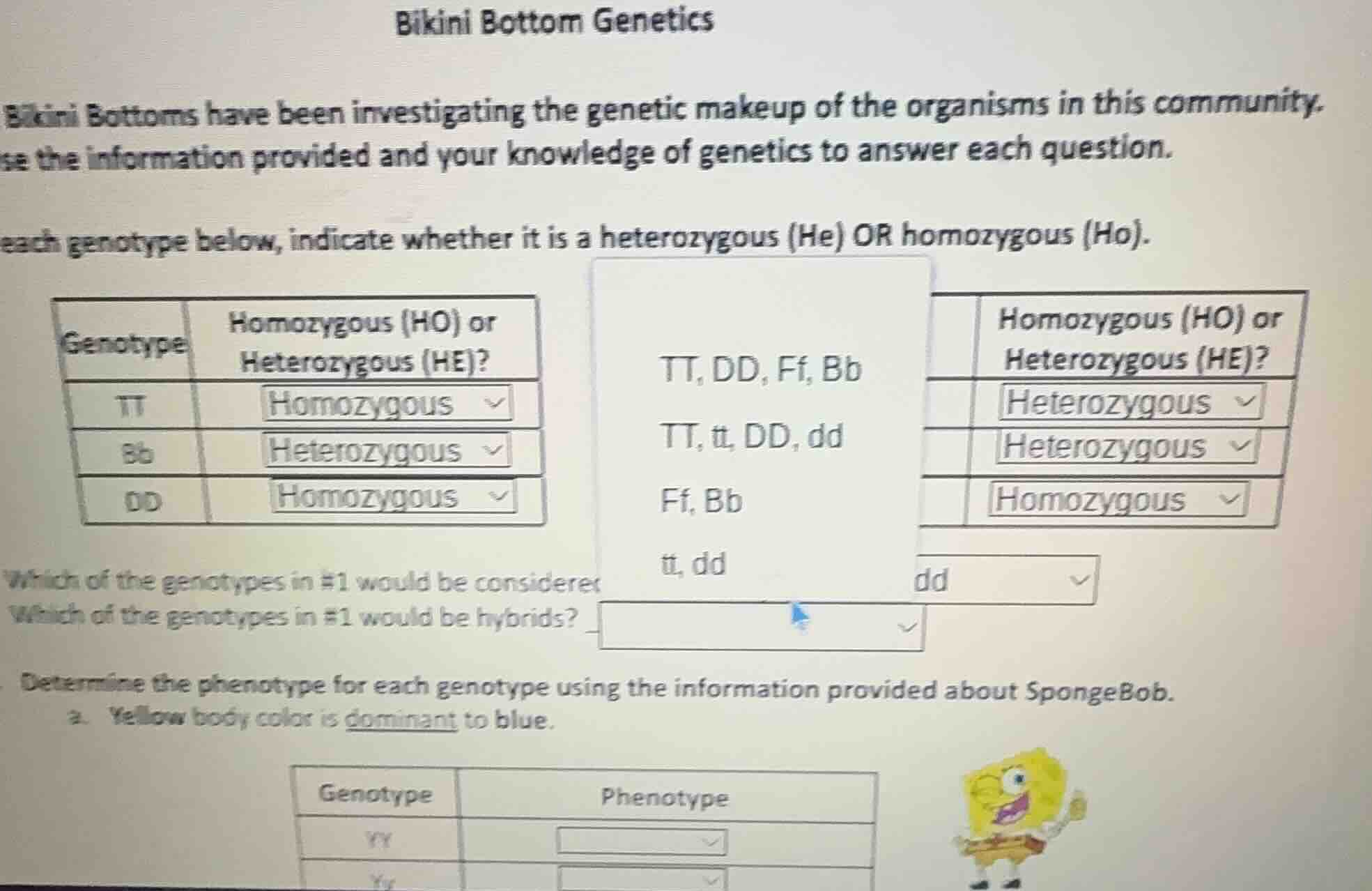 bikini bottom genetics bikini bottoms have been investigating the genet…