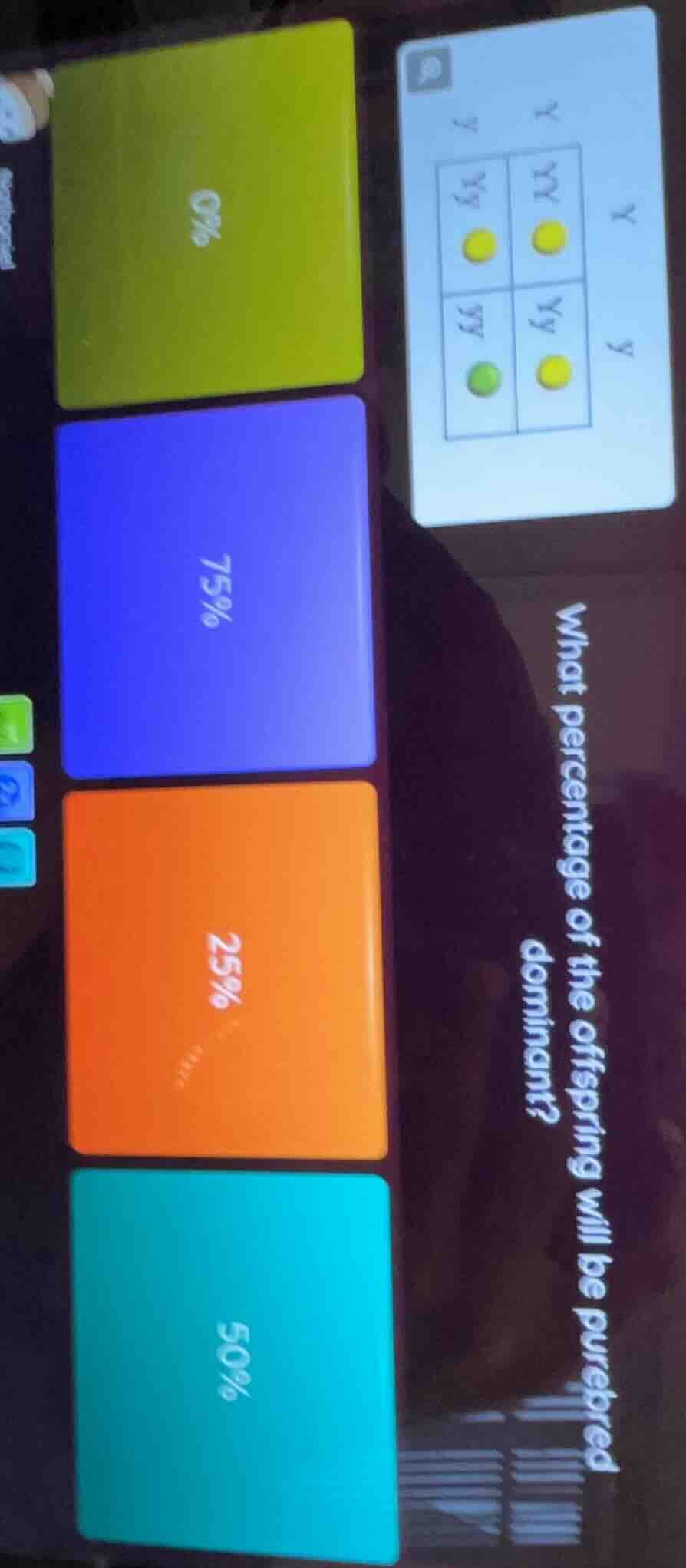 what percentage of the offspring will be purebred dominant?