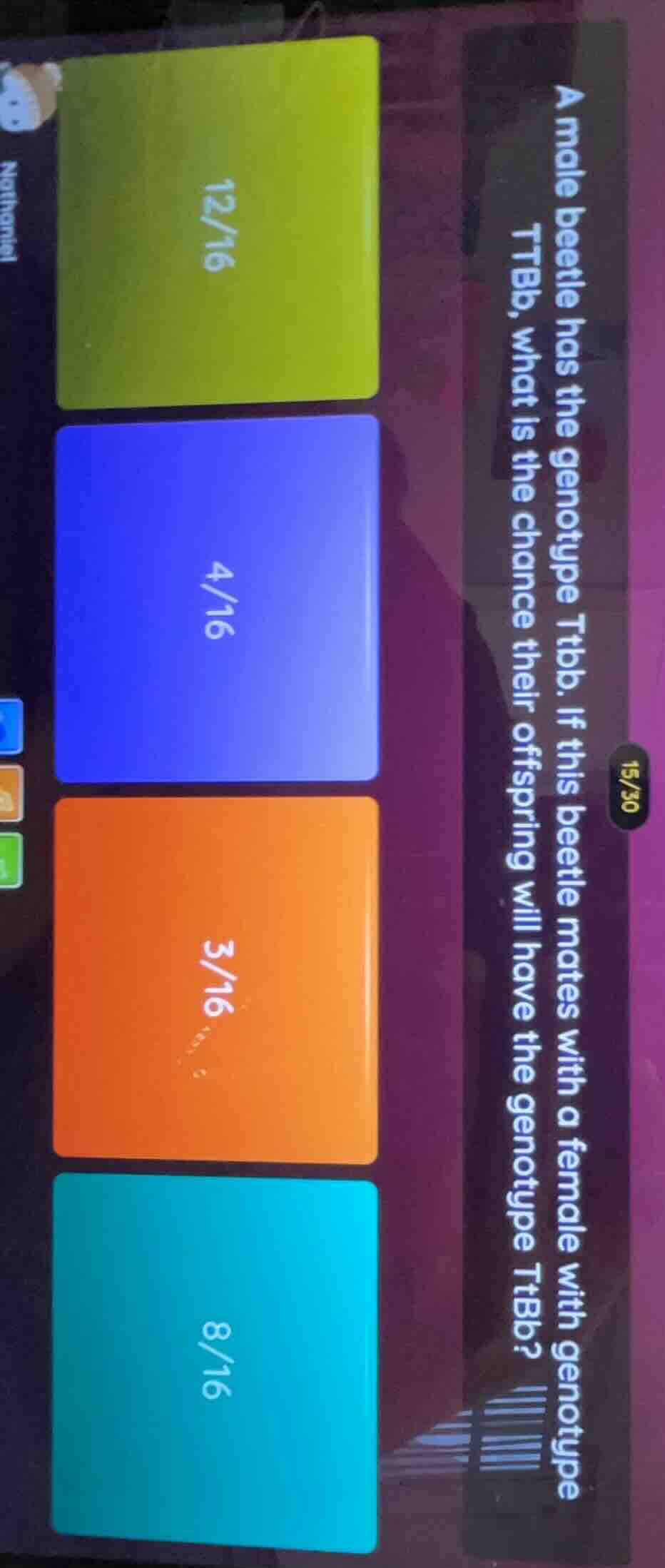 a male beetle has the genotype ttbb. if this beetle mates with a female…