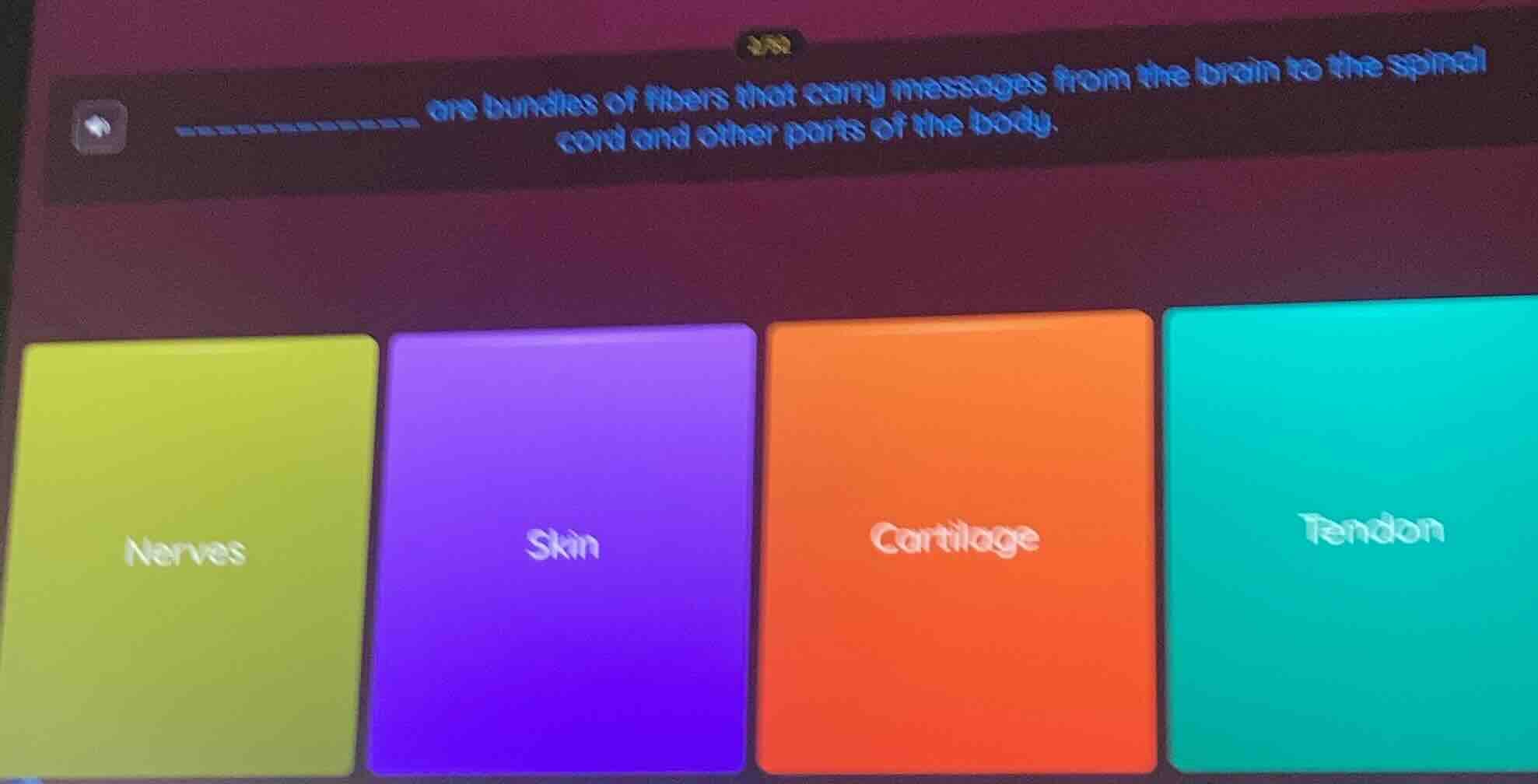 ______ are bundles of fibers that carry messages from the brain to the …