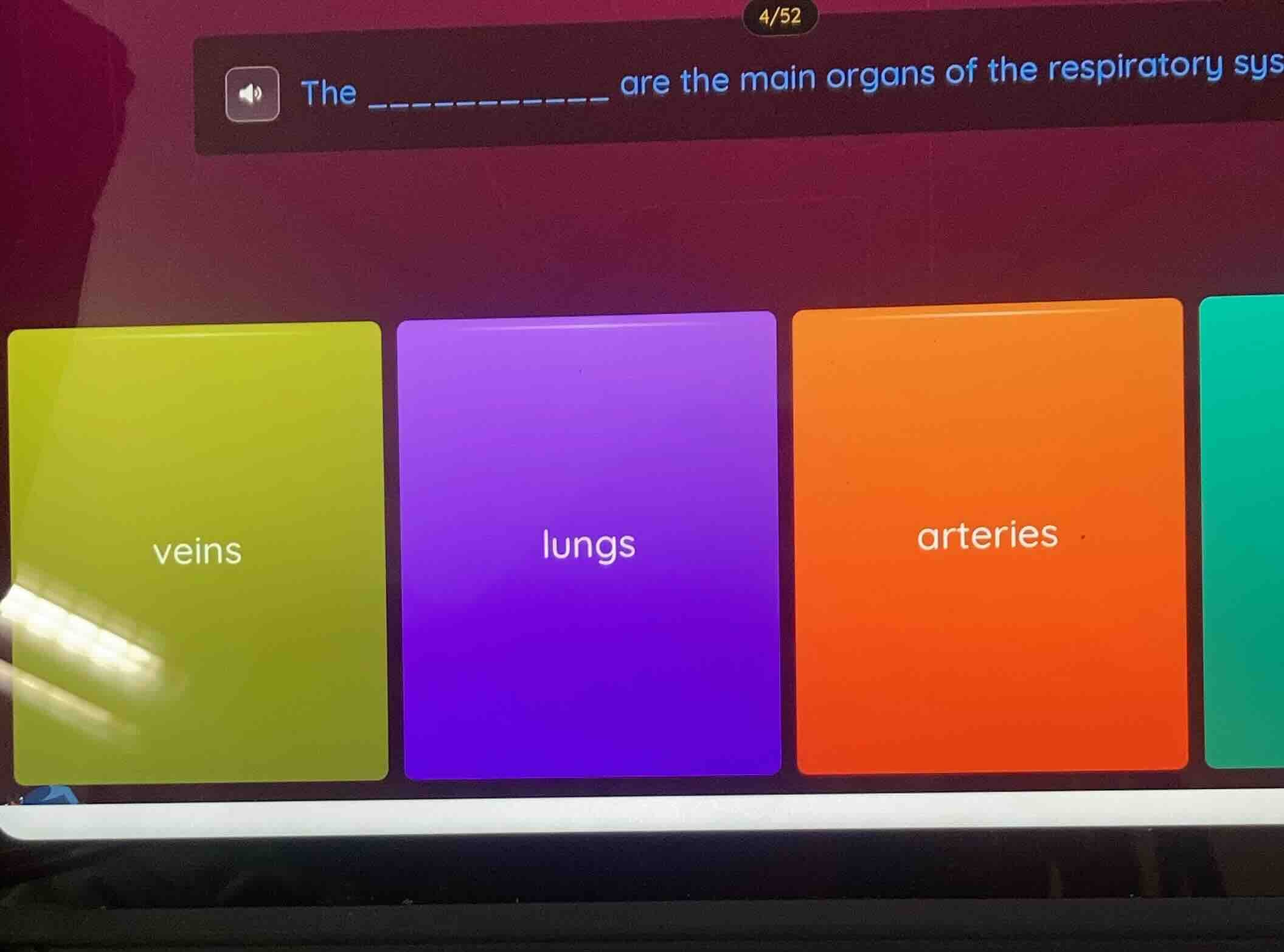the __________ are the main organs of the respiratory sys veins lungs a…