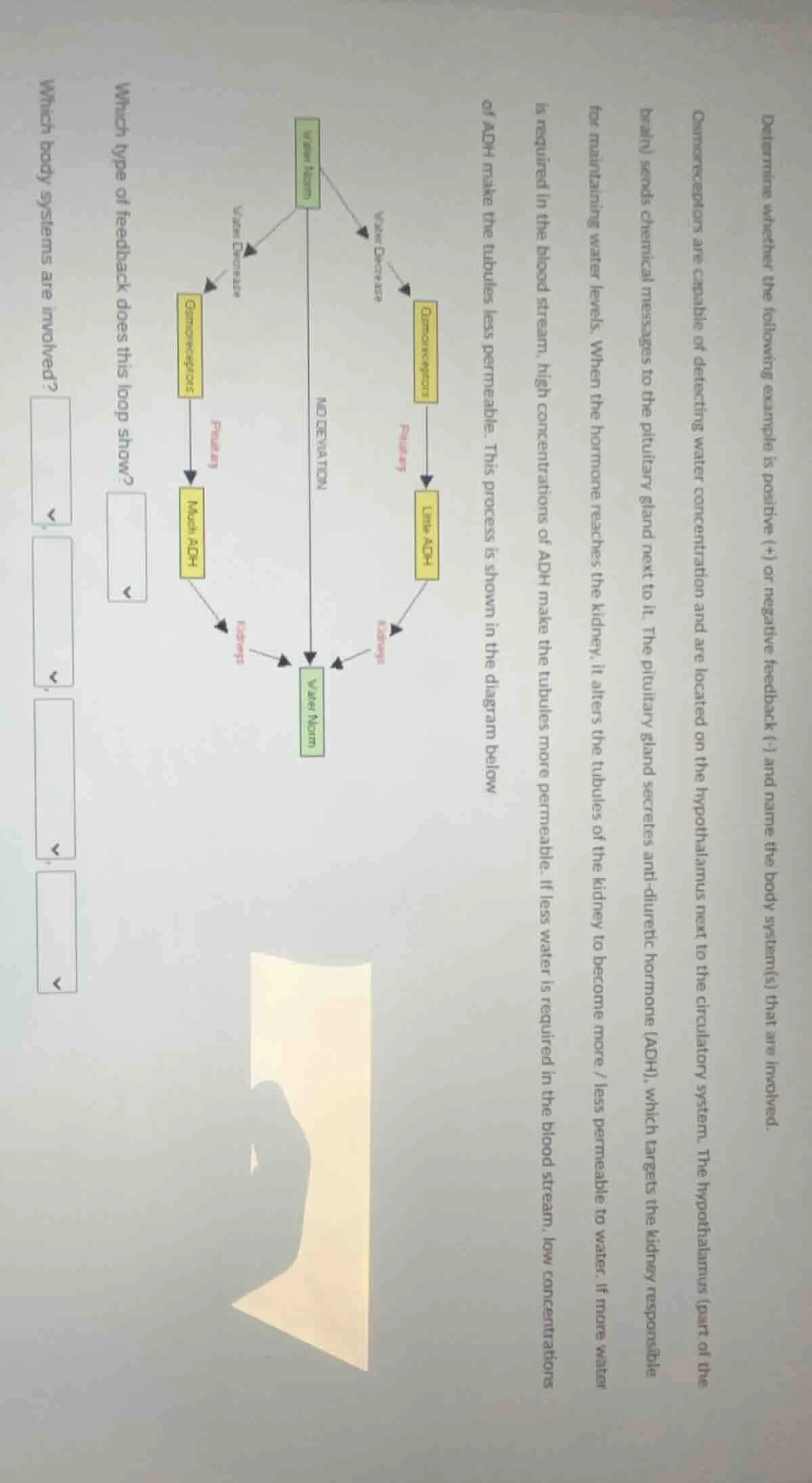 determine whether the following example is positive (+) or negative (-)…