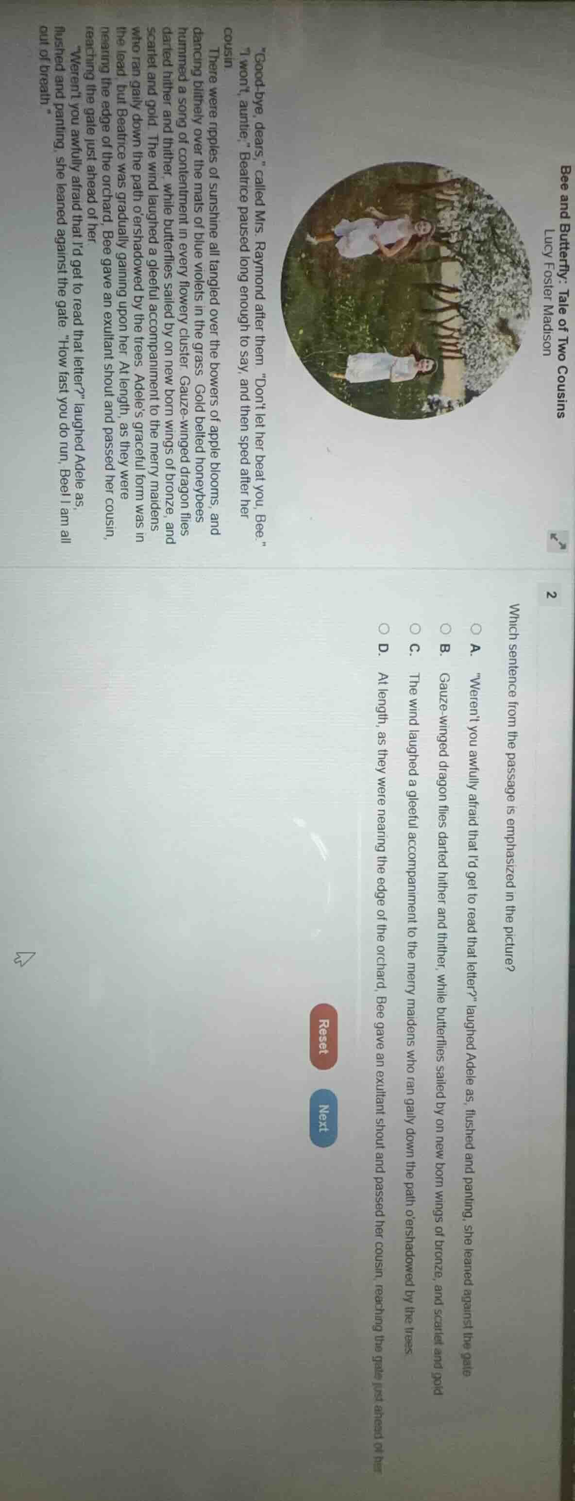 bee and butterfly: tale of two cousins lucy foster madison \good-bye, d…