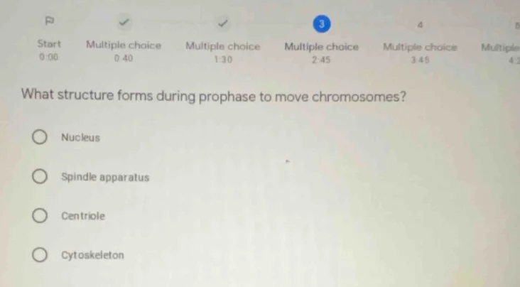 what structure forms during prophase to move chromosomes? nucleus spind…