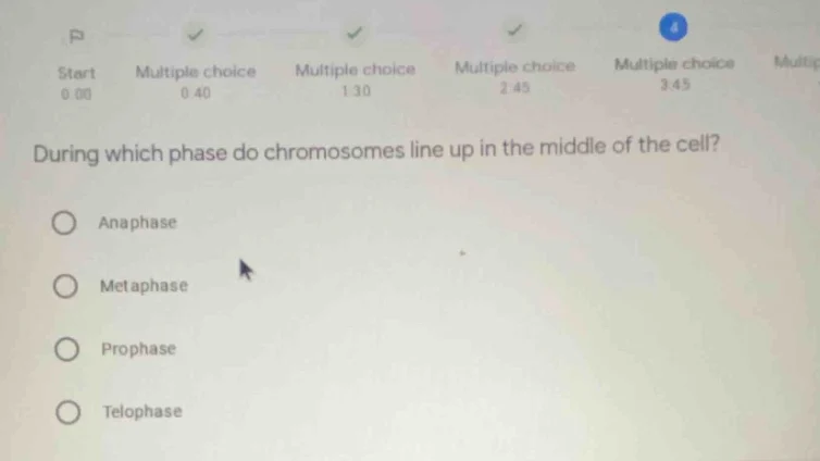 during which phase do chromosomes line up in the middle of the cell? an…