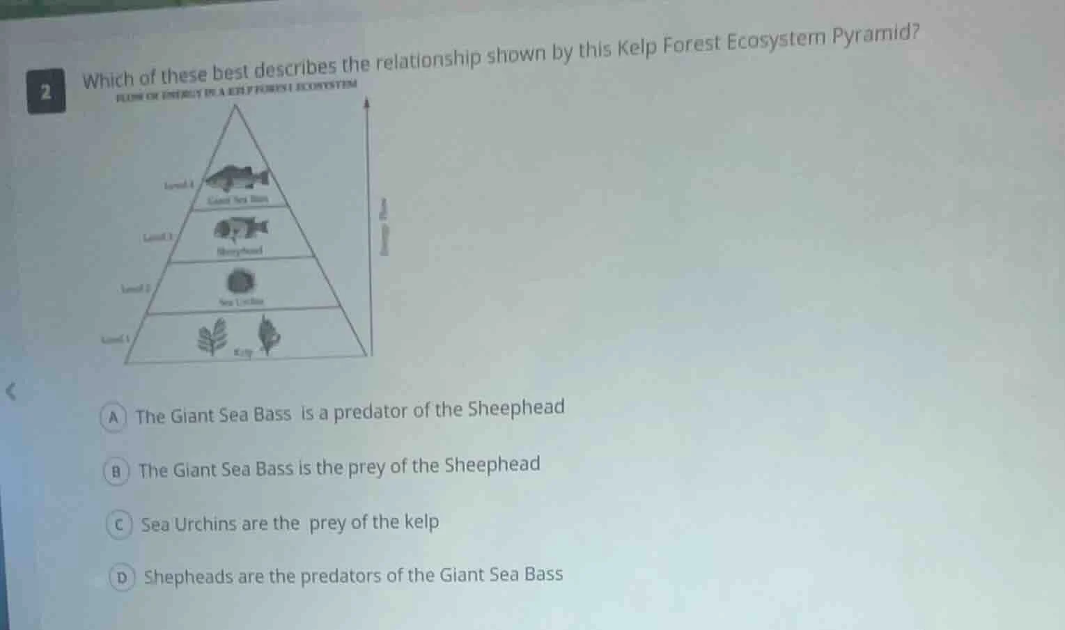 2 which of these best describes the relationship shown by this kelp for…