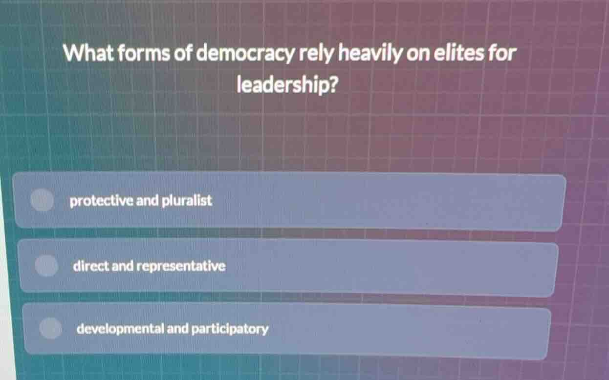 what forms of democracy rely heavily on elites for leadership? protecti…