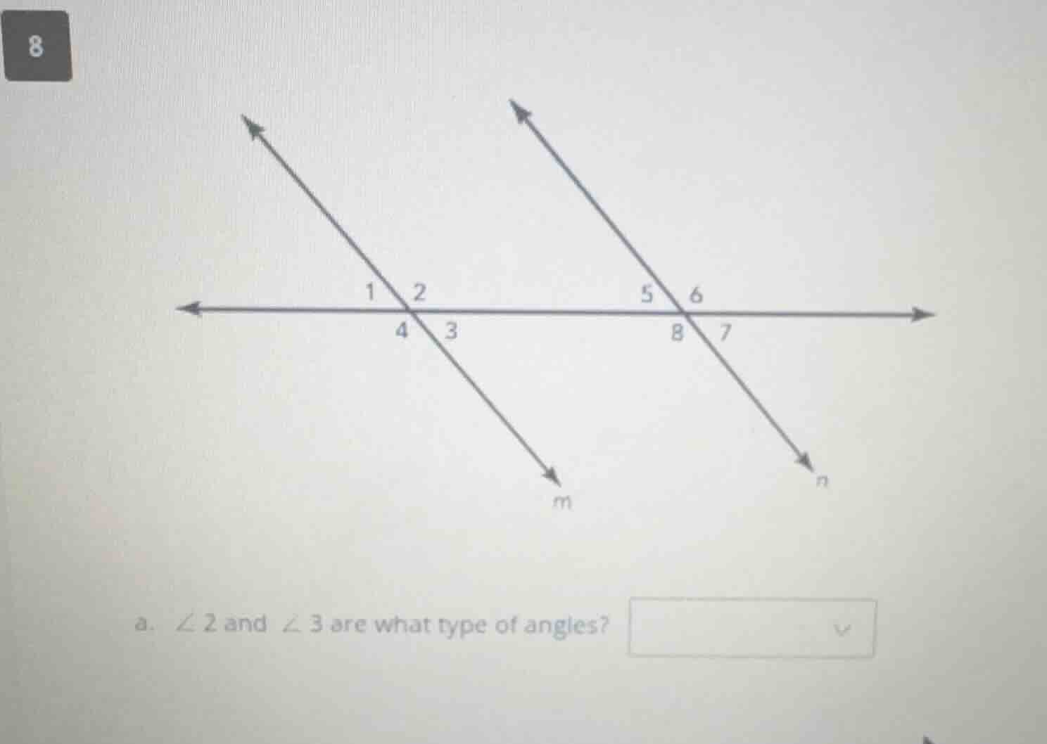 8 a. $\\angle 2$ and $\\angle 3$ are what type of angles?