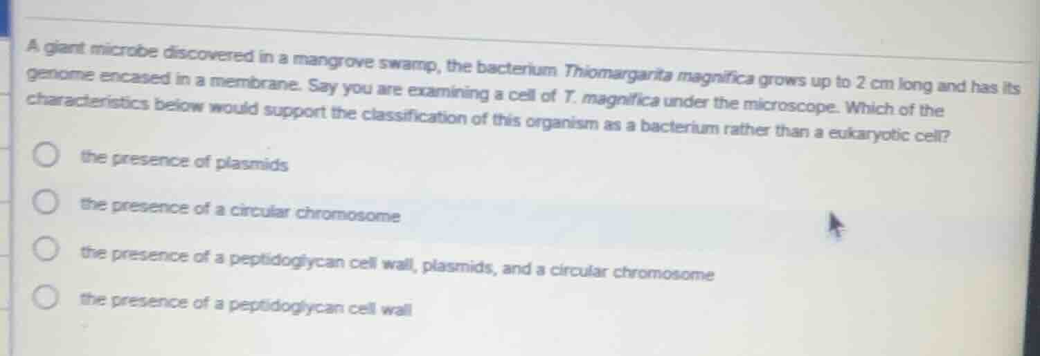 a giant microbe discovered in a mangrove swamp, the bacterium thiomarga…