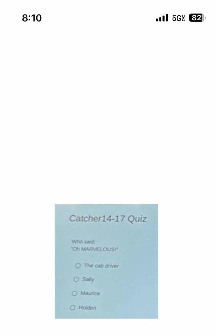 catcher14-17 quiz who said: \oh marvelous!\ the cab driver sally mauric…