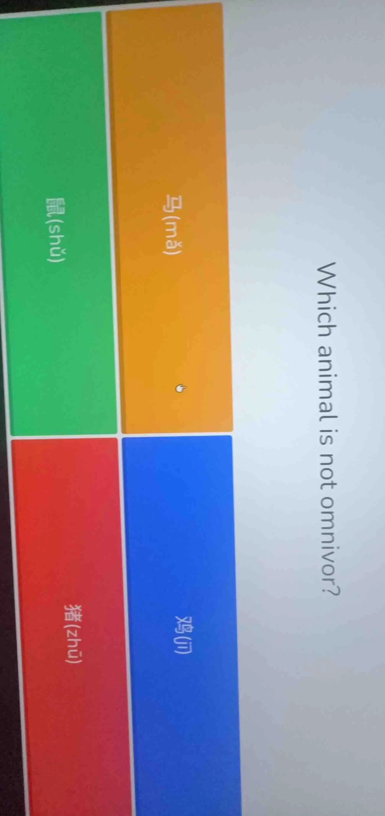 which animal is not omnivor? 鼠(shǔ) 马(mǎ) 猪(zhū) 鸡(jī)