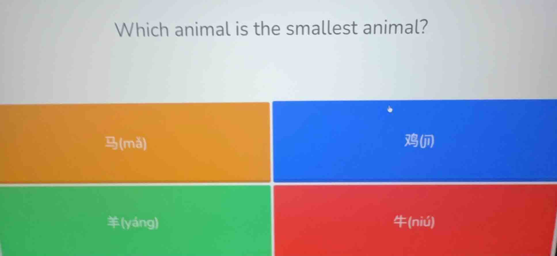 which animal is the smallest animal? 马(mǎ) 鸡(jī) 羊(yáng) 牛(niú)