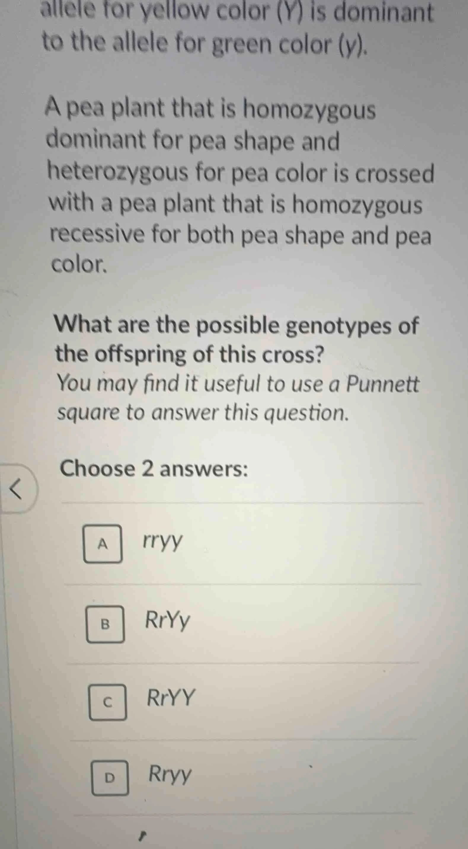 allele for yellow color (y) is dominant to the allele for green color (…