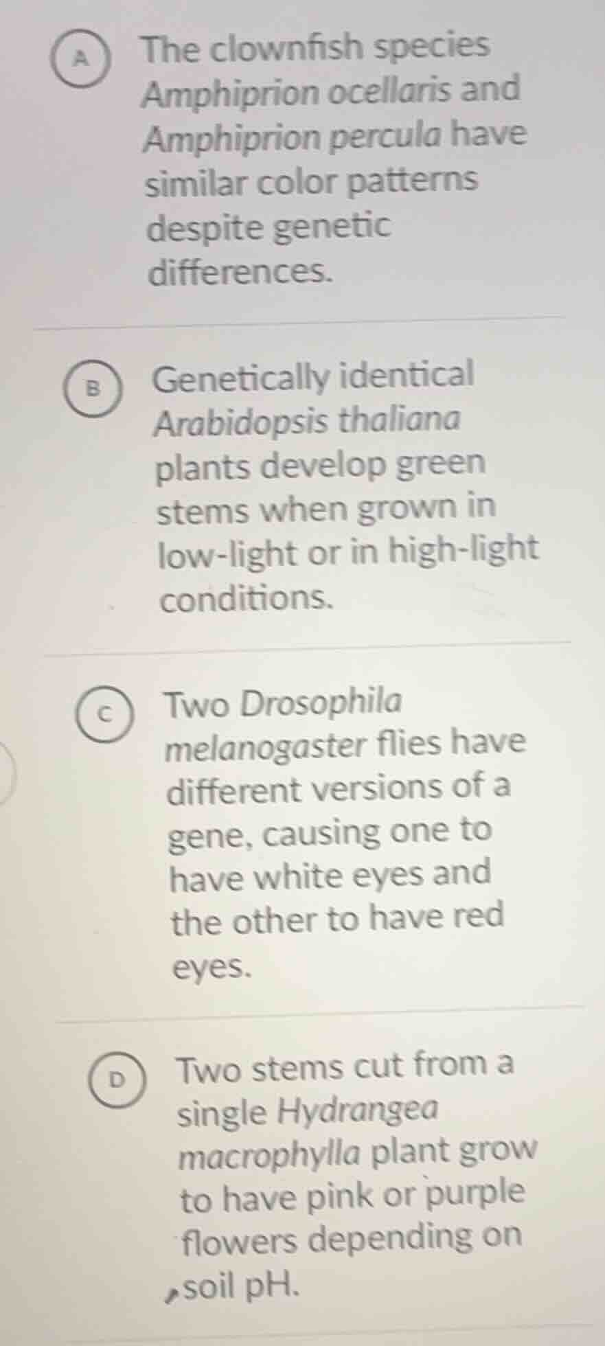 a the clownfish species amphiprion ocellaris and amphiprion percula hav…