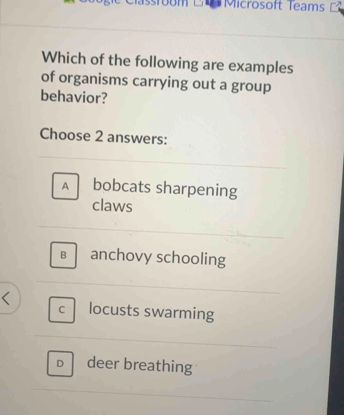 which of the following are examples of organisms carrying out a group b…